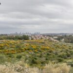 Enlivex Announces $21M Debt Financing and Prediction Markets Treasury Expansion